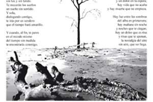 Gaceta Literaria